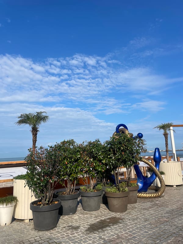 Morning stroll through Sochi's quiet beachfront resort area