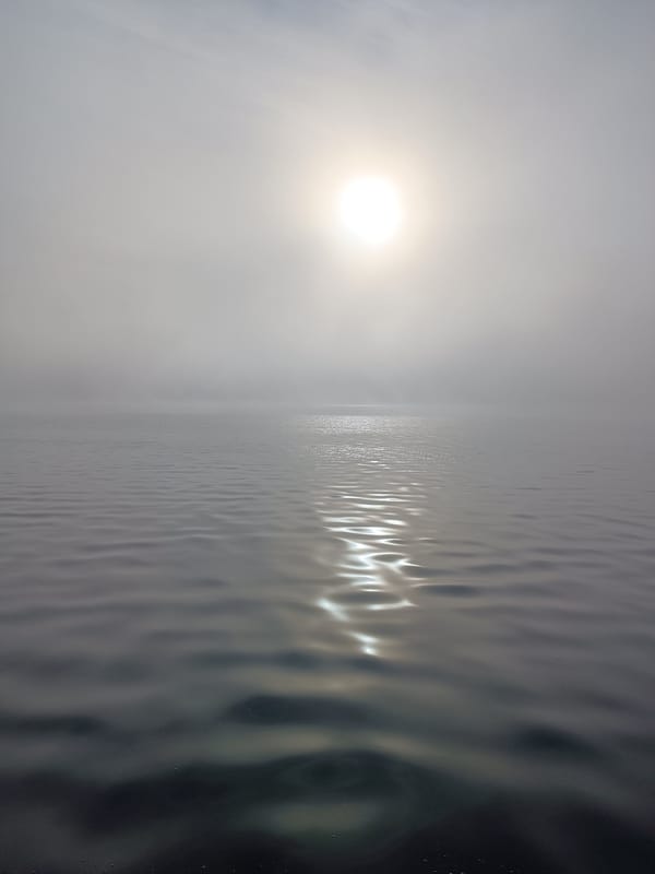 Foggy summer waterfront in Chaikovsky, selfies and wildflowers