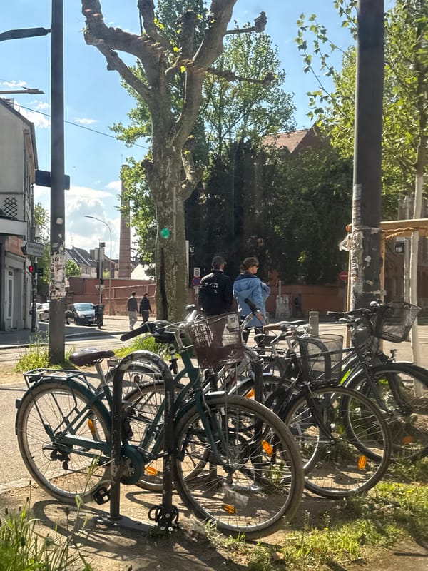 Bicycles parked on sunny Strasbourg street captured by witness