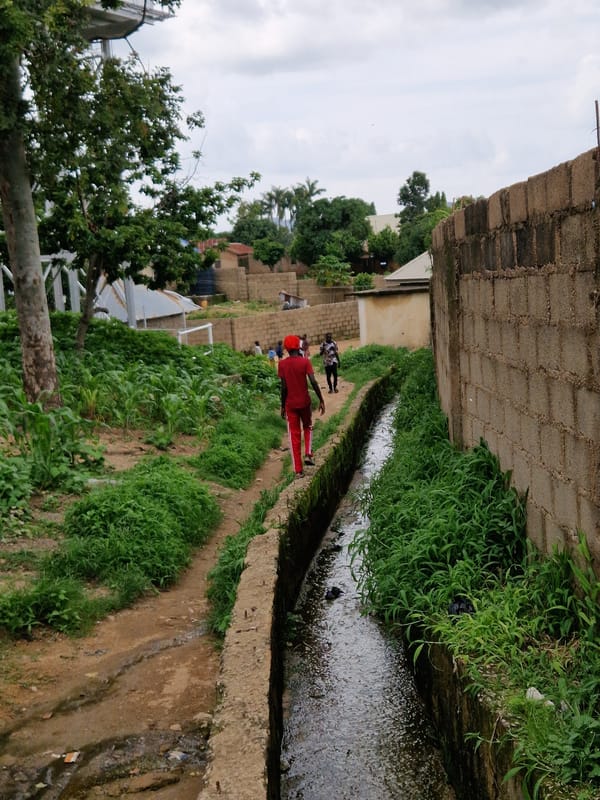 Everyday street life in an African urban neighborhood