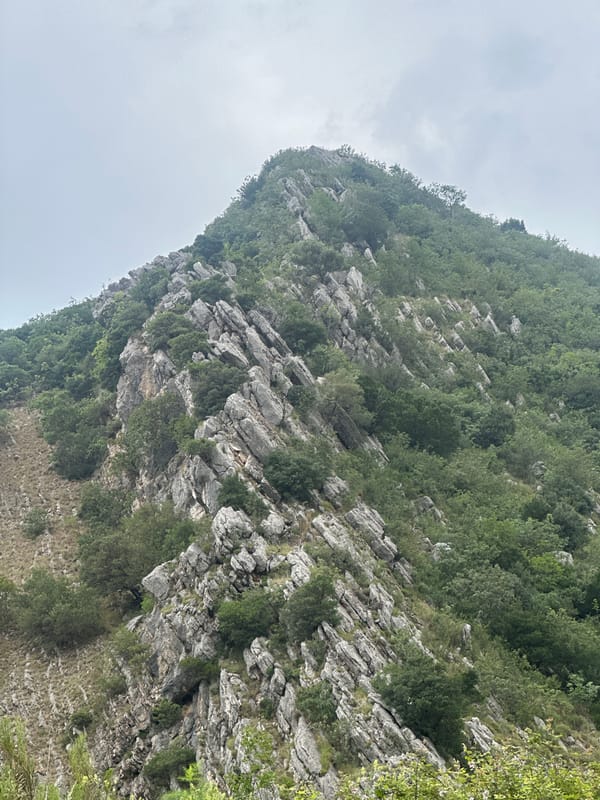 Rocky mountainside with vegetation observed near Rafailovići, Montenegro
