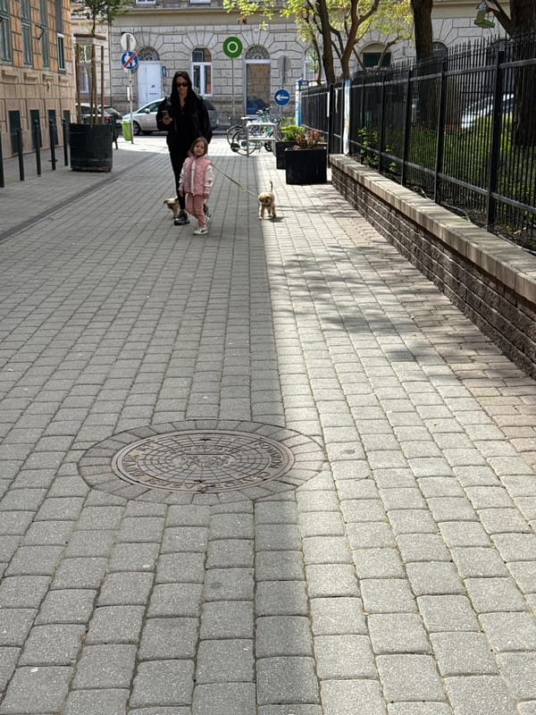 Morning street life captured in central Budapest neighborhood