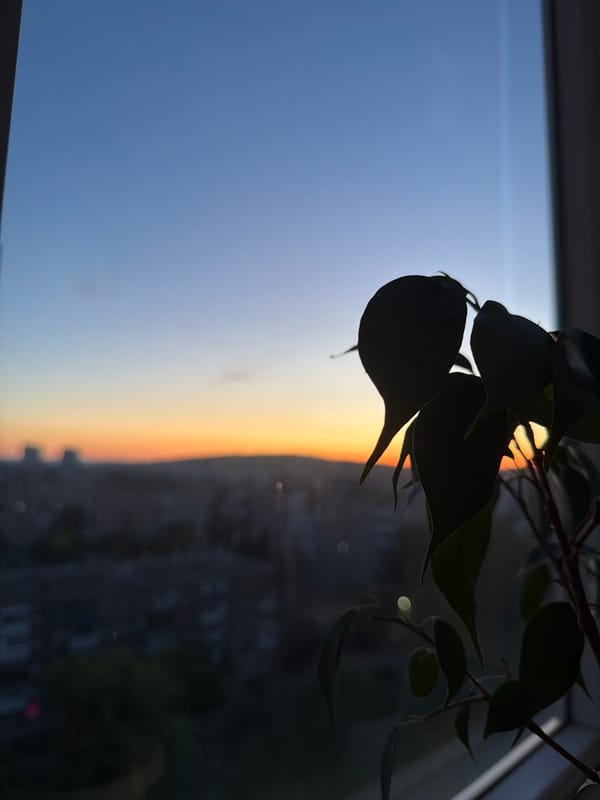 Urban sunset captured by multiple witnesses over four-minute span