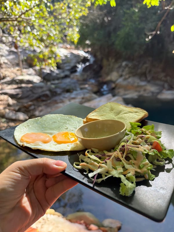 Jungle retreat near Huế with bridges, streams, and rustic lodging