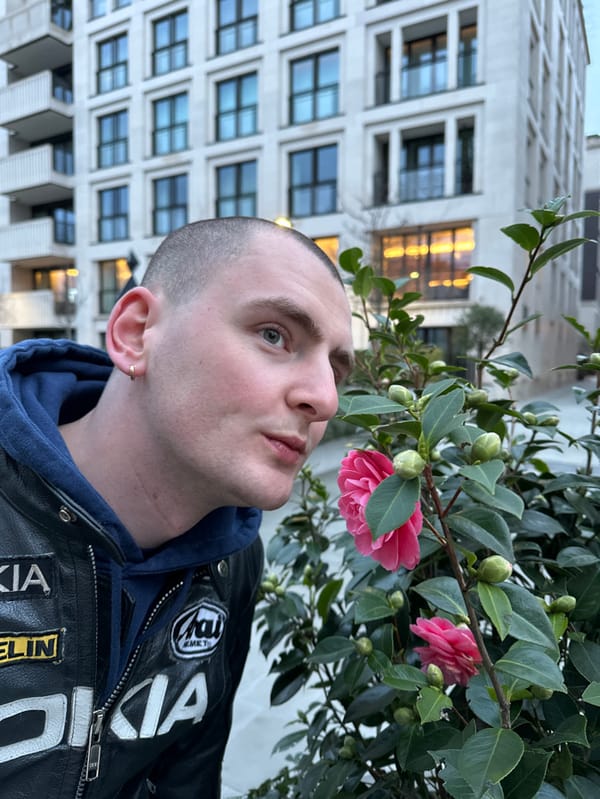 Man poses with blooming camellias in London