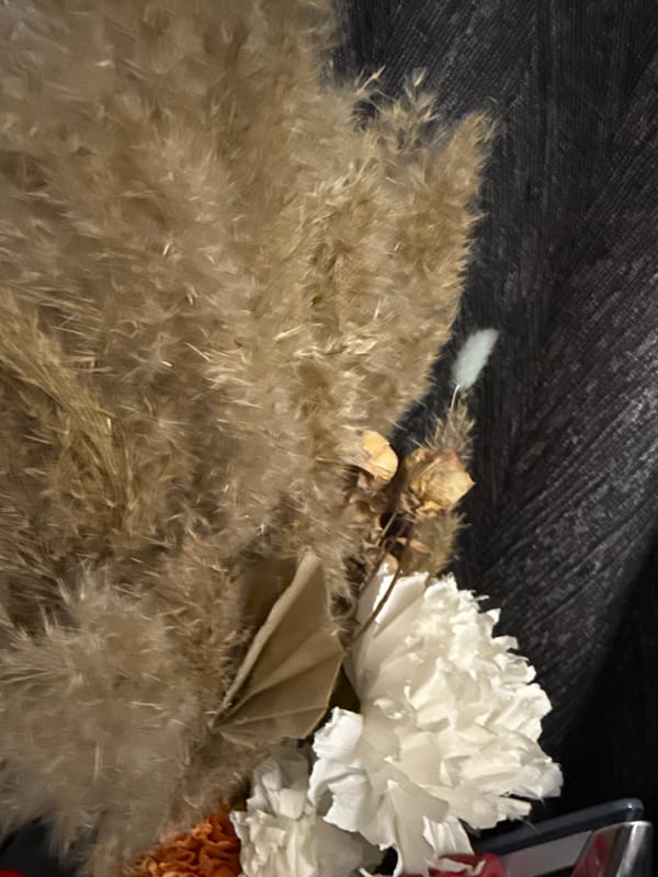 Dried botanicals and textured fabrics in close-up interior shots
