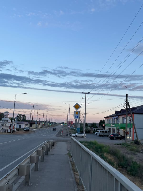 Dusk on the Volga, with small-life details close by