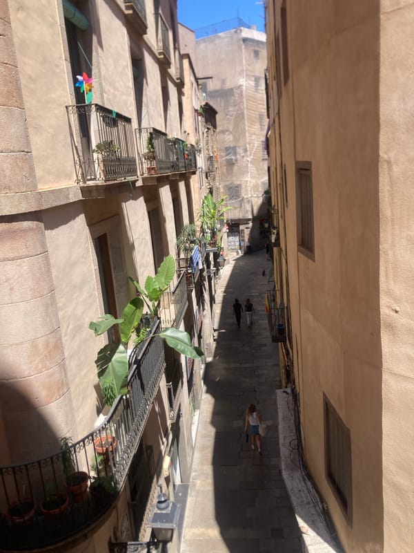 Street musician performs violin in Barcelona alleyway