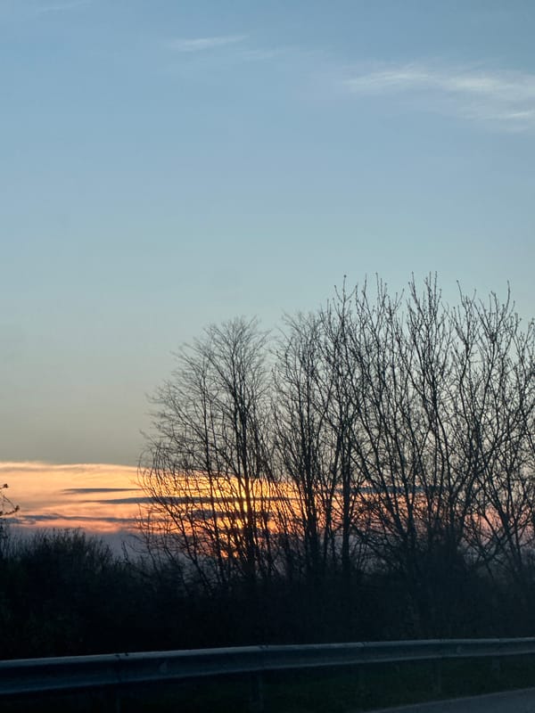 Twilight scene with silhouetted tree observed in Kesarevo, Bulgaria