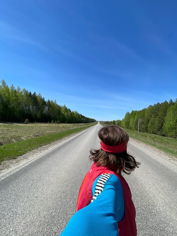 Person in distinctive clothing observed on road in Перевозное