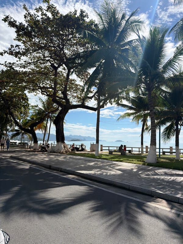Witnesses document sunny coastal promenade scenes in Nha Trang