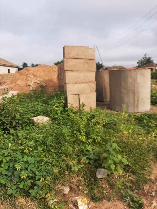 Construction and overgrowth along Ogbomosho's neighborhood fringe