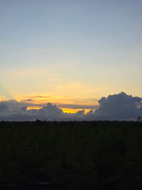 Sunset observed over Mui Ne landscape, Vietnam