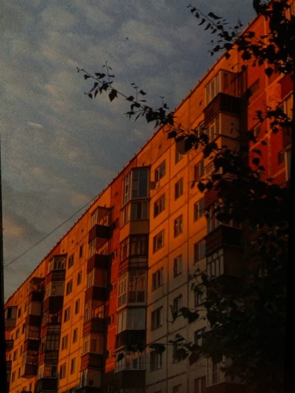 Flowers, cats, and quiet summer evening scenes in Nizhny Tagil