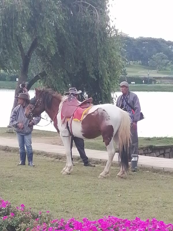 Horses, bikes, and leisure at a Da Lat lakeside park
