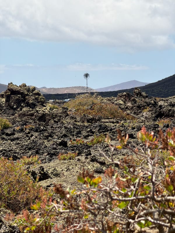 Visitor documents volcanic trails in Tías, Spain