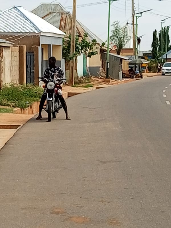 Everyday street life in a quiet residential neighborhood