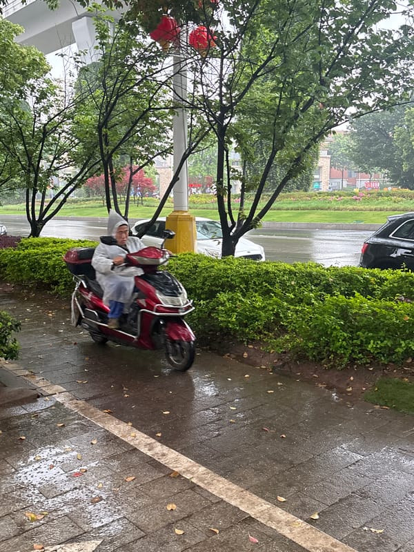 Rain brings umbrellas and ponchos to Jiangjin streets