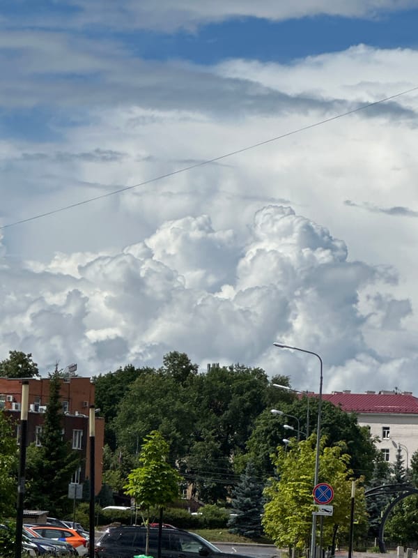 Summer morning in Podolsk: parks, flowers, and market stalls