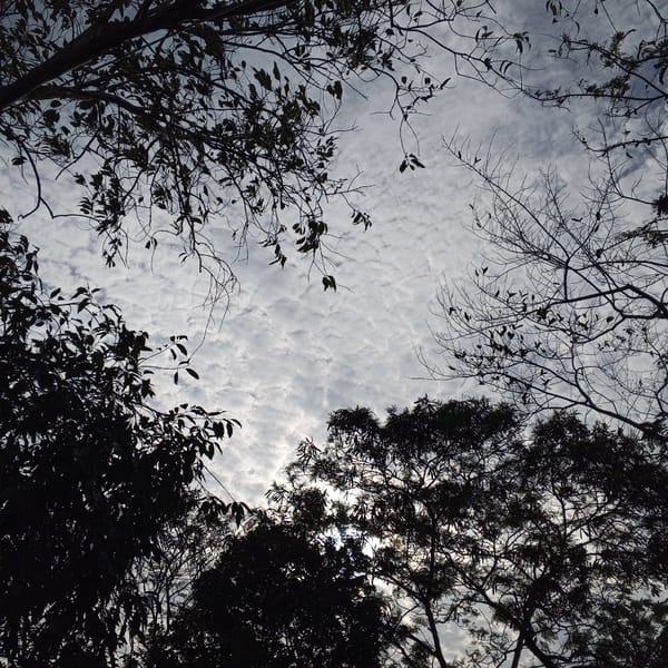 Overcast skies with sun breaking through clouds documented