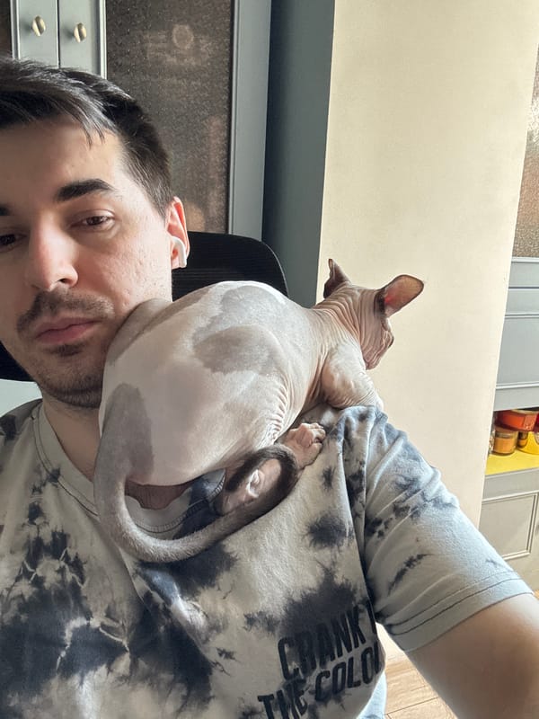 Sphynx cat rules the home in a series of casual moments