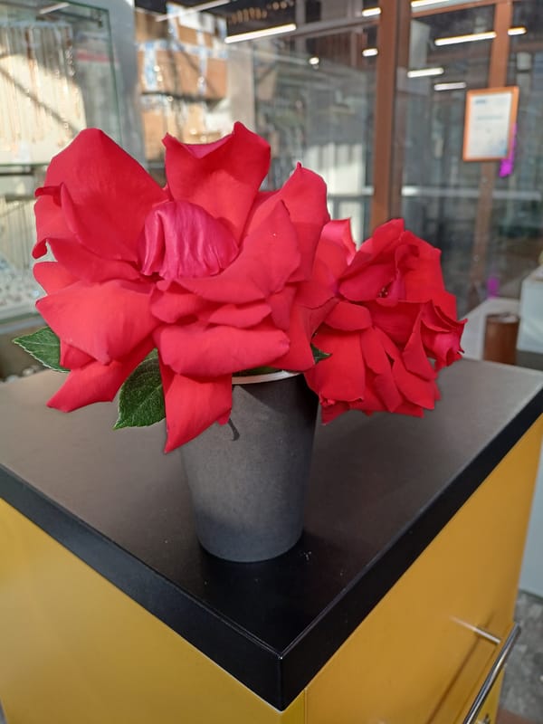 Red roses displayed at jewelry store in Novosibirsk