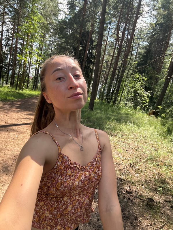 Afternoon walk with a dog through a pine forest near Perm