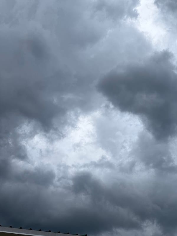 Overcast walk outside, storm clouds building, kittens at home