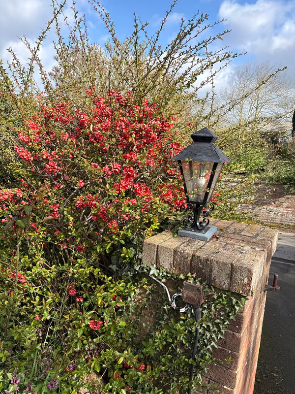 Garden scenes documented in Longden featuring decorative landscaping elements