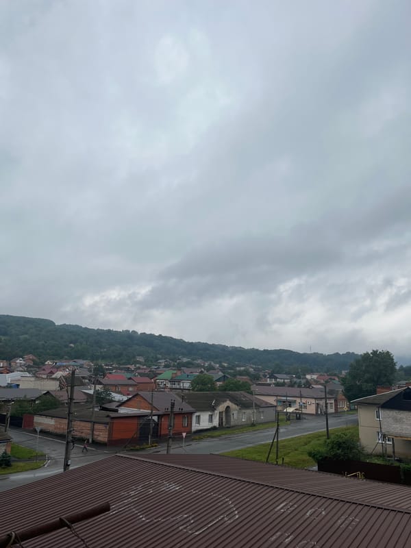 Dense hillside neighborhood under grey skies, two angles