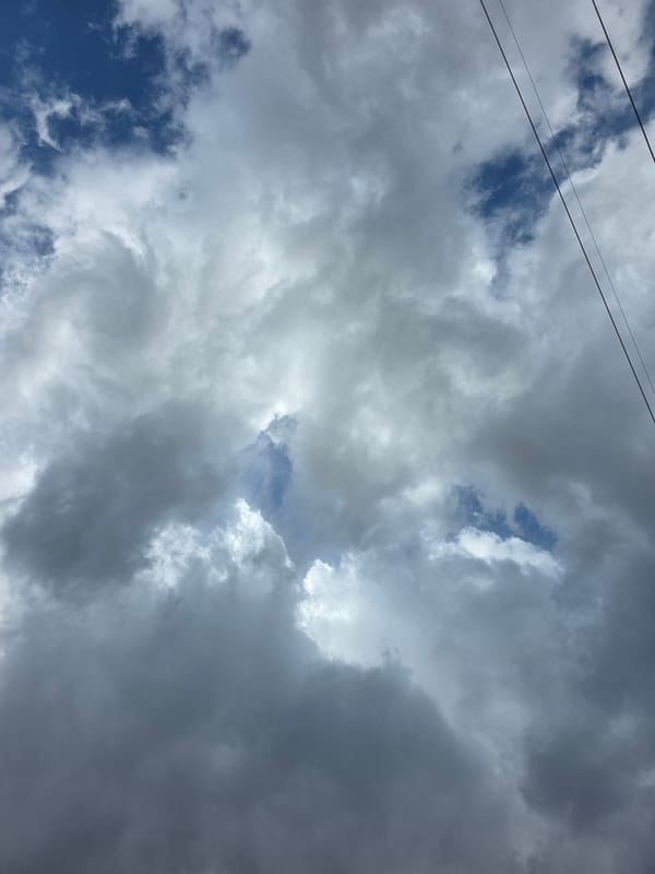 Dog and dramatic clouds observed in brief outdoor moments