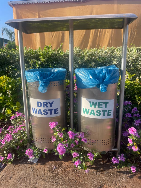Waste segregation bins spotted in Nagzar, India