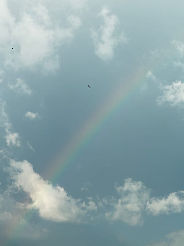 Faint rainbow appears over Varna with three birds silhouetted