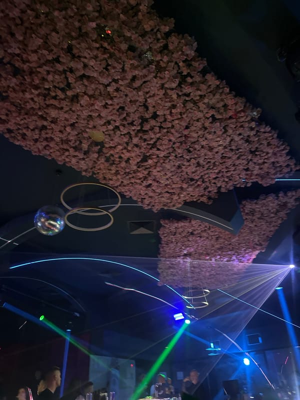 Interior with floral wall and curved lighting documented in Sliven