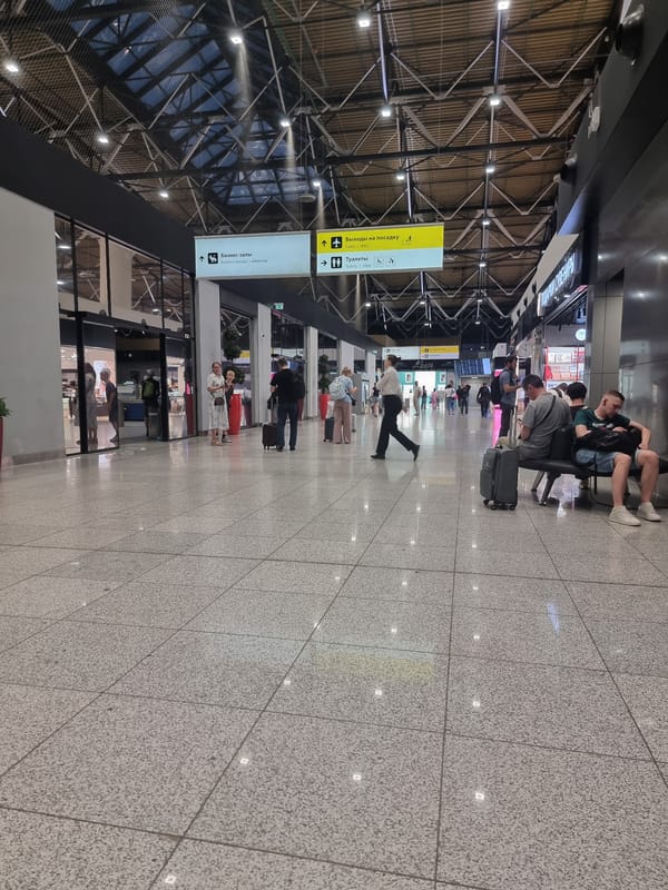 Traveler documents three-hour journey through Sheremetyevo Airport, Russia