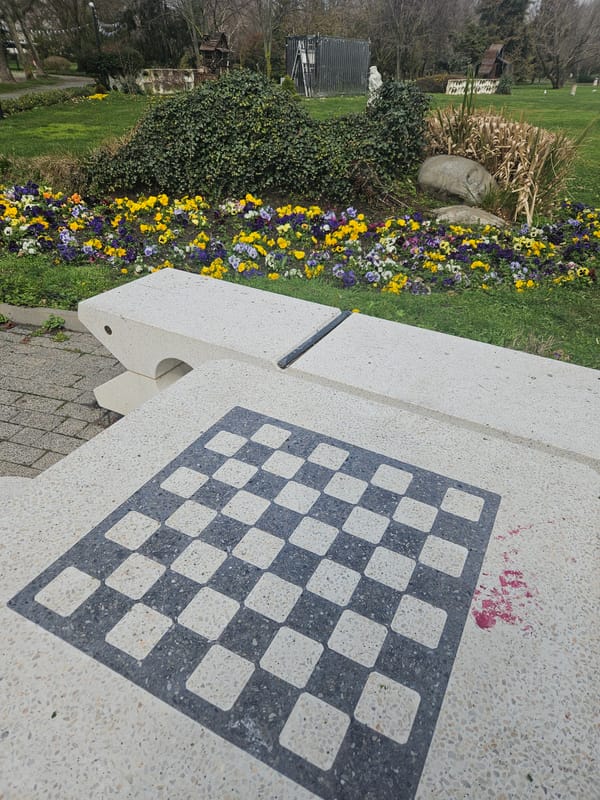 Morning walk through Burgas park captures spring blooms