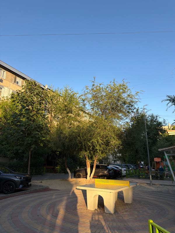 Afternoon street life across a Shymkent neighborhood