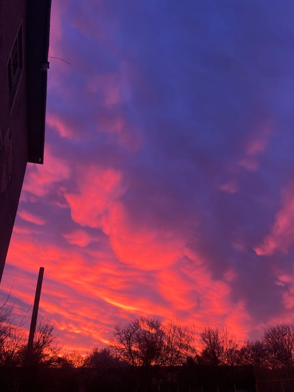 Dramatic sunset with purple and orange hues observed in urban area