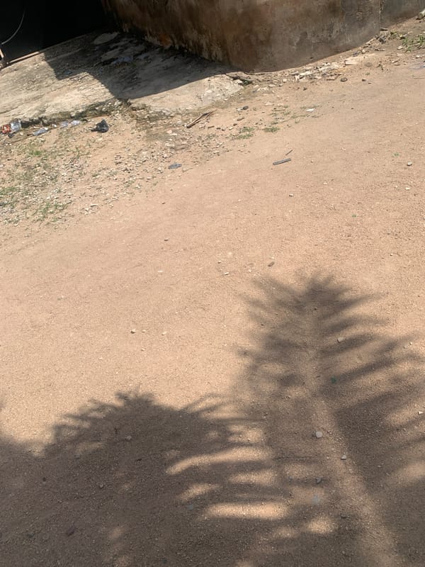 Midday scenes across Jalingo's campus and residential streets