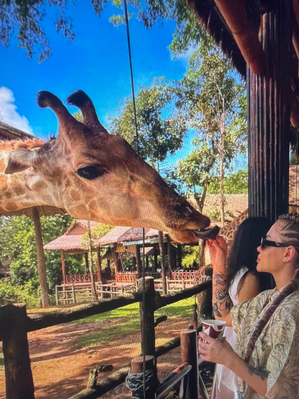 Families enjoy animal encounters at Shumen safari park