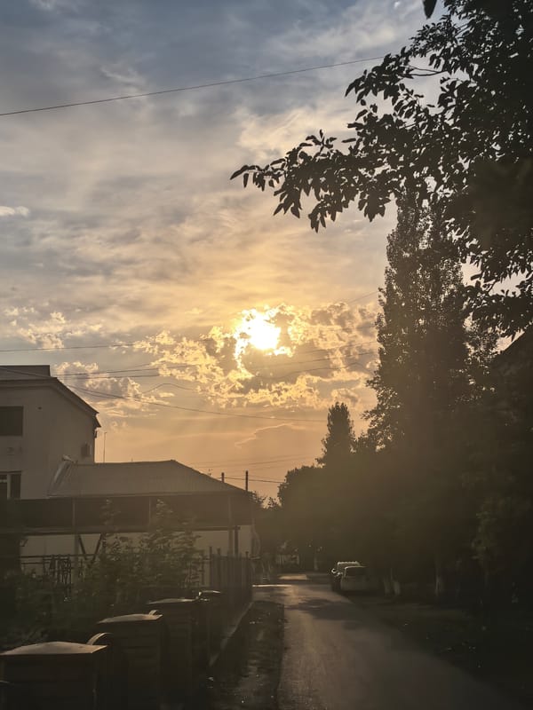 Dusk settles over a residential neighborhood in Fergana City