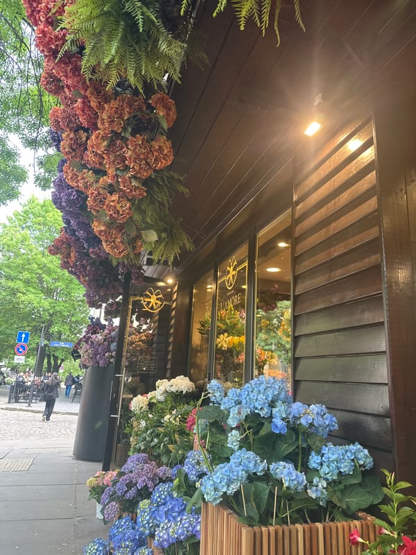 Flower shop display draws attention in Sofia, Bulgaria