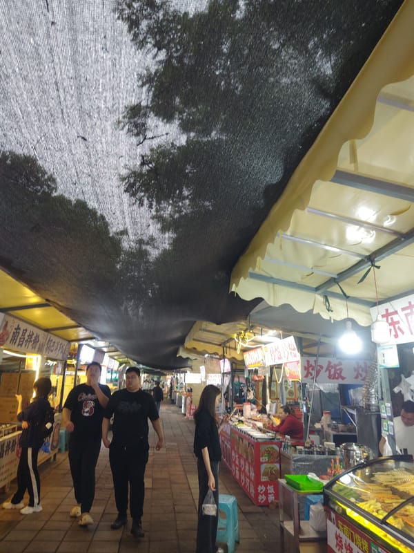 Food market bustling with vendors and customers in Shapingba