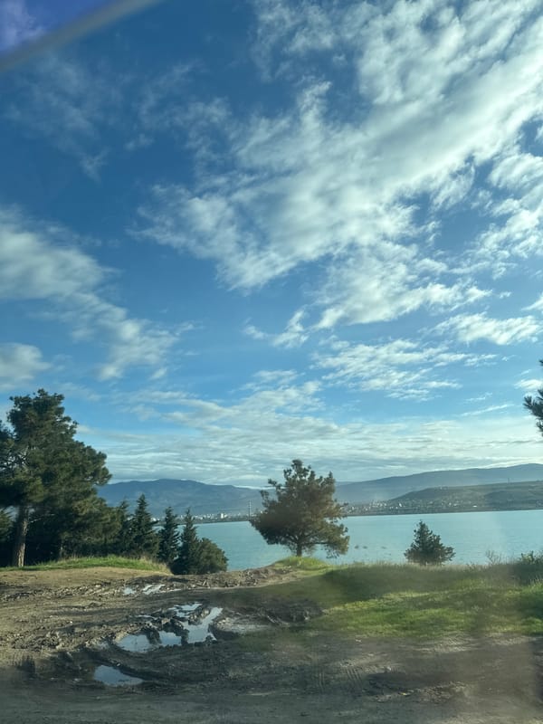 Morning drive through Tbilisi captured in roadway memories