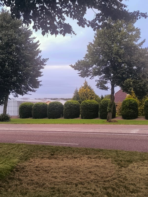 Almere suburbs and greenhouses on a July evening