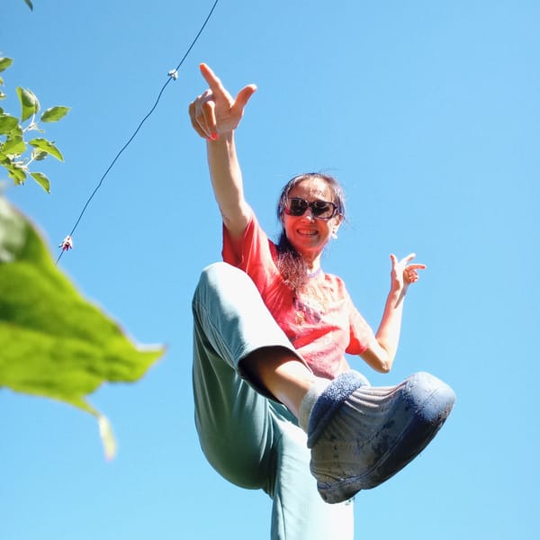 Sunny garden day in Буренка, strawberries and pitchforks