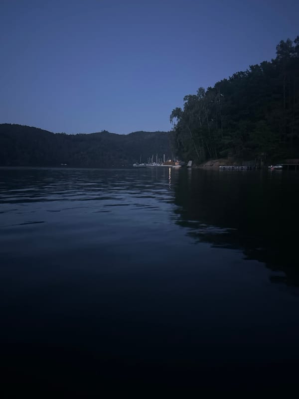 Boats moored at a calm waterfront dock as dusk settles in