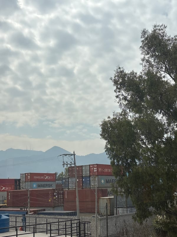 Mixed urban observations recorded in Buenavista, Mexico