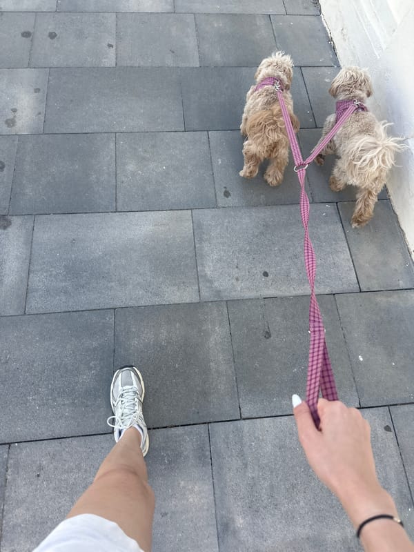 Dog walker spotted with two small pets in Spanish coastal town