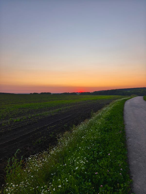 Dusk on a winding dirt road through rural Dolzhikovo